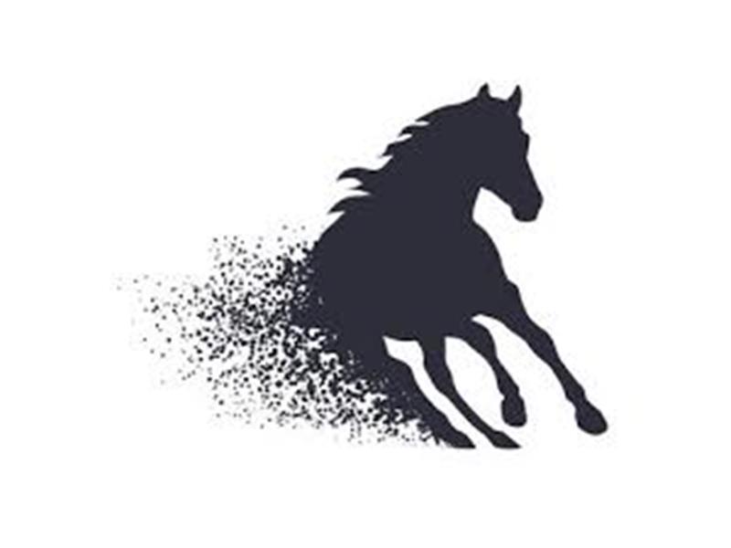 Logo for 2025 Jerauld/Buffalo Horse Show