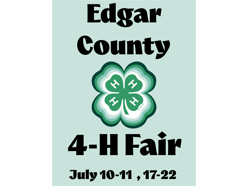 Fair Logo