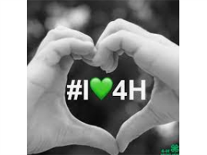 Logo for Leavenworth County Club Day 2026